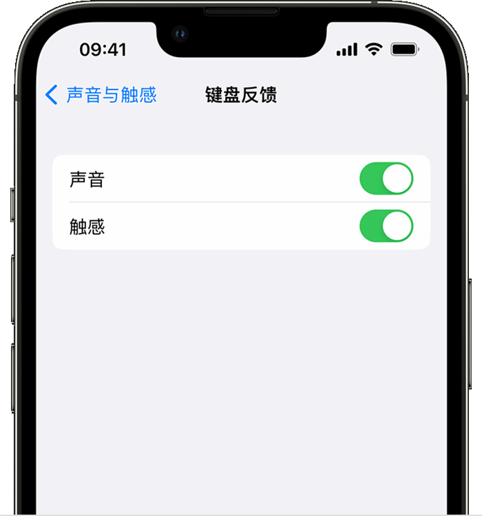 拜泉苹果14维修店分享如何在 iPhone 14 机型中使用触感键盘 