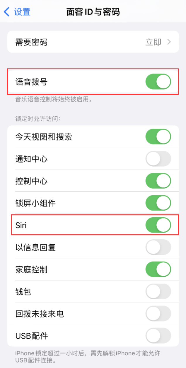 拜泉苹果维修网点分享不解锁 iPhone 的情况下通过 Siri 拨打电话的方法 