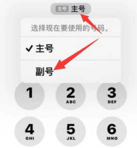 拜泉苹果14维修店分享iPhone 14 Pro Max使用副卡打电话的方法 