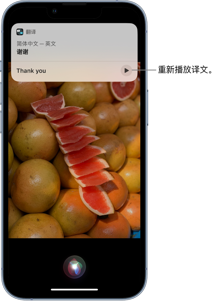 拜泉苹果14维修分享 iPhone 14 机型中使用 Siri：了解 Siri 能帮你做什么 