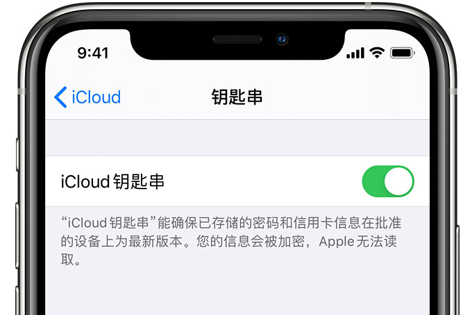 拜泉苹果手机维修分享在 iPhone 上开启 iCloud 钥匙串之后会储存哪些信息 