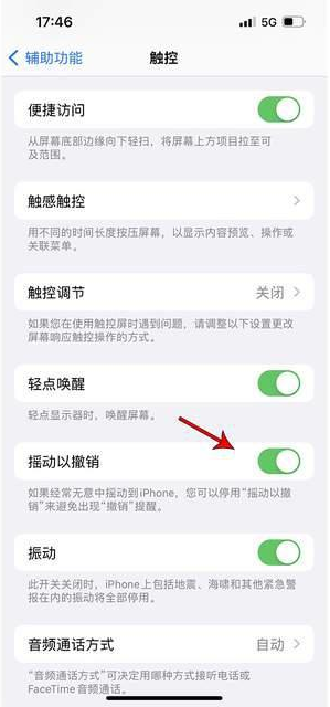 拜泉苹果手机维修分享iPhone手机如何设置摇一摇删除文字 