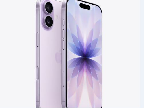 拜泉苹果维修点分享iPhone 17锁屏密码使用参考 